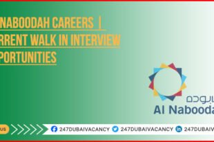 Al Naboodah Careers