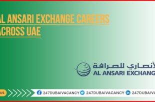 Ansari Exchange careers