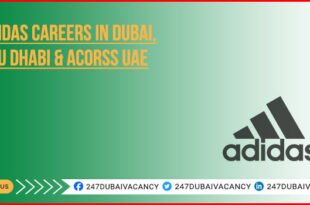 Adidas Careers