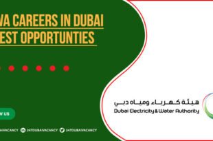 Dewa Careers