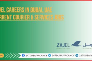 Zajel Careers